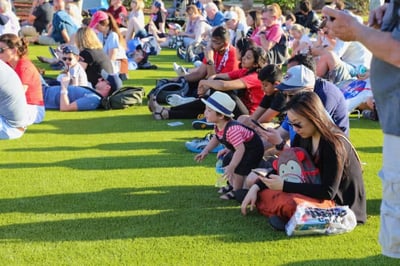 Soy-backed grass supports the heavy foot traffic of rocket-watching crowds at the Kennedy Space Center Visitor Complex in Florida. Photo credit: Raul A. Martinez of EasyGrass.