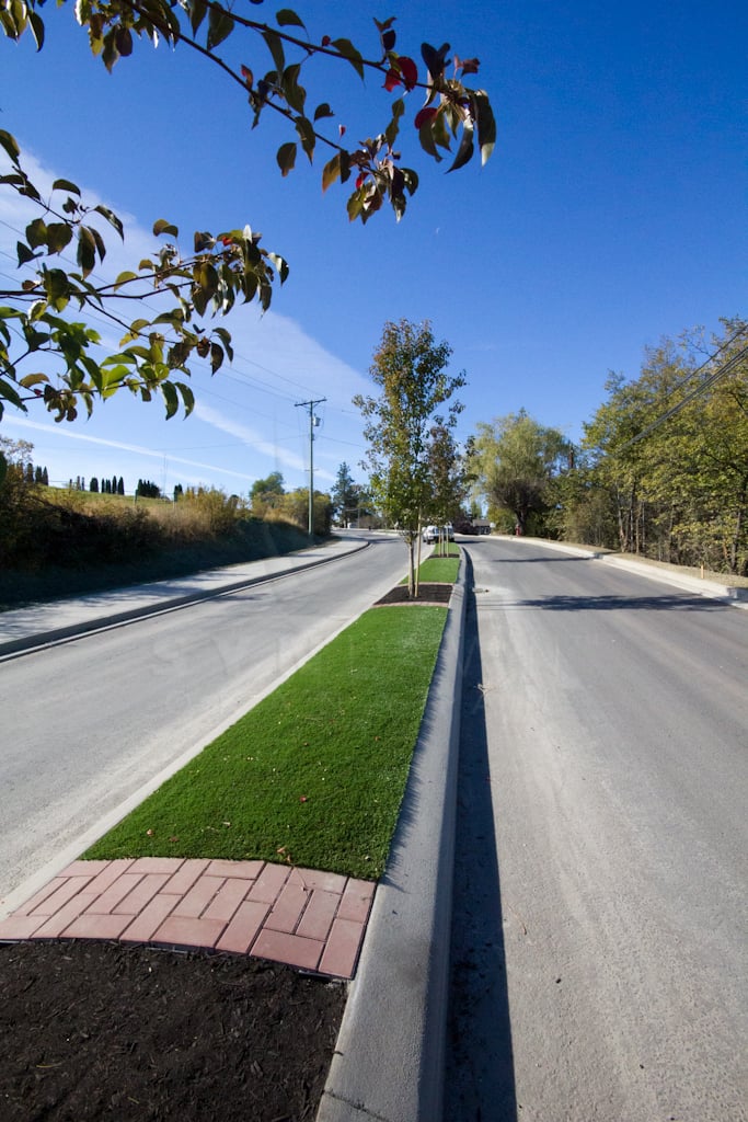 Rollin' Soy-Backed Grass Down the Road Median